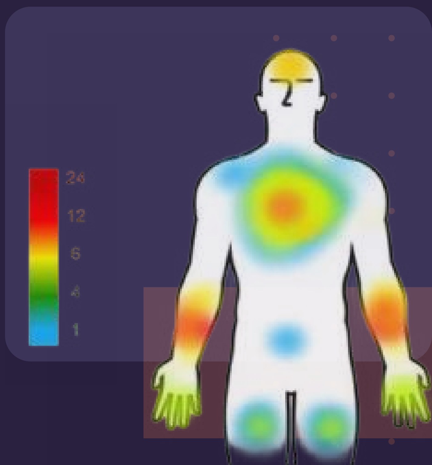Sensory perception heatmap of the body